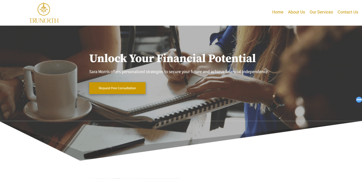 Tru North Elite — Websites