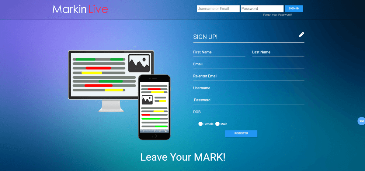 Mark In Live — Websites